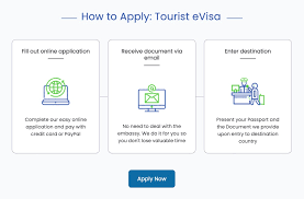 The-dos-and-donts-of-tourist-visa-applications